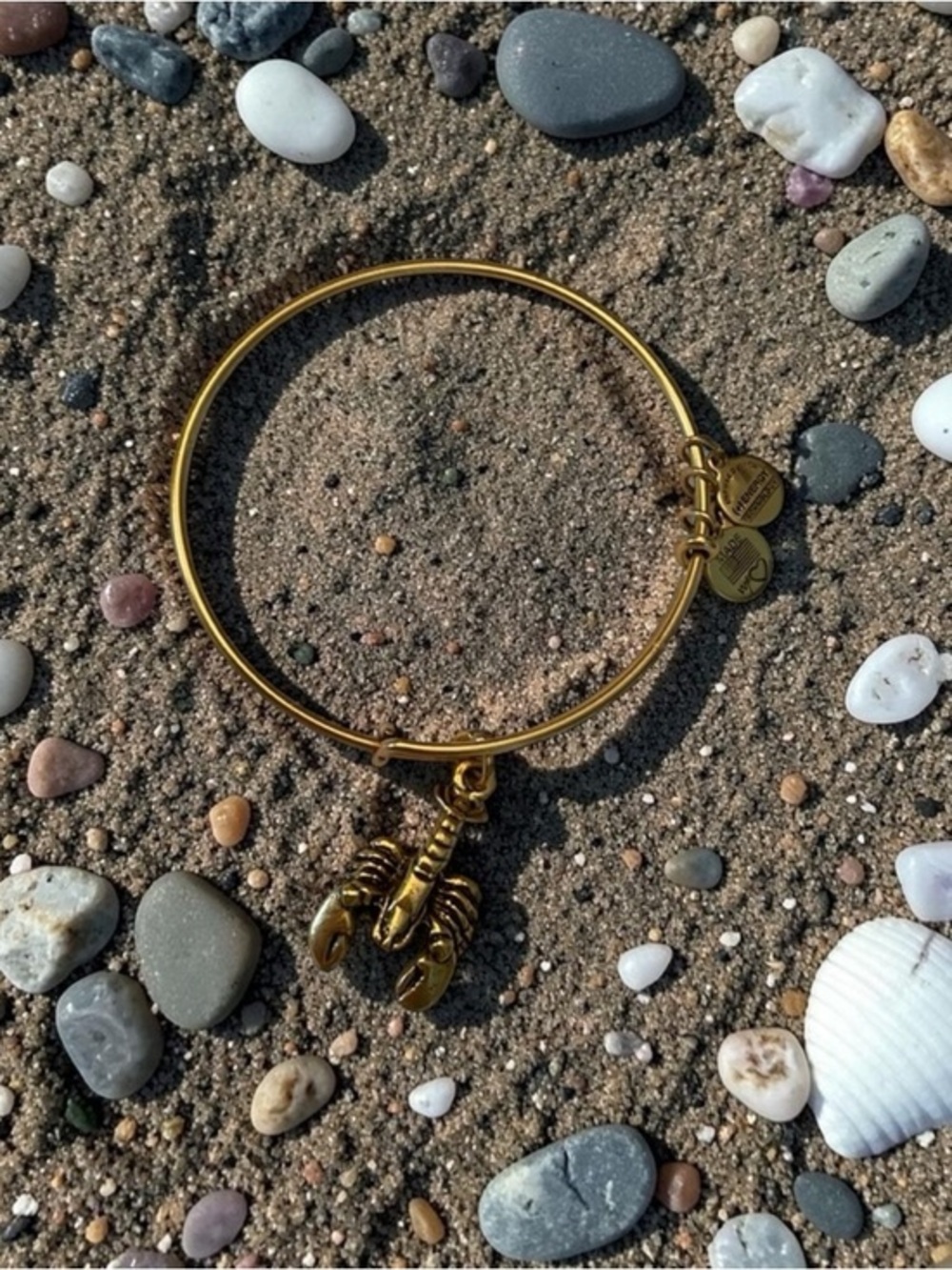 🫶🏻 Alex and Ani Gold Lobster Charm Bangle Bracelet